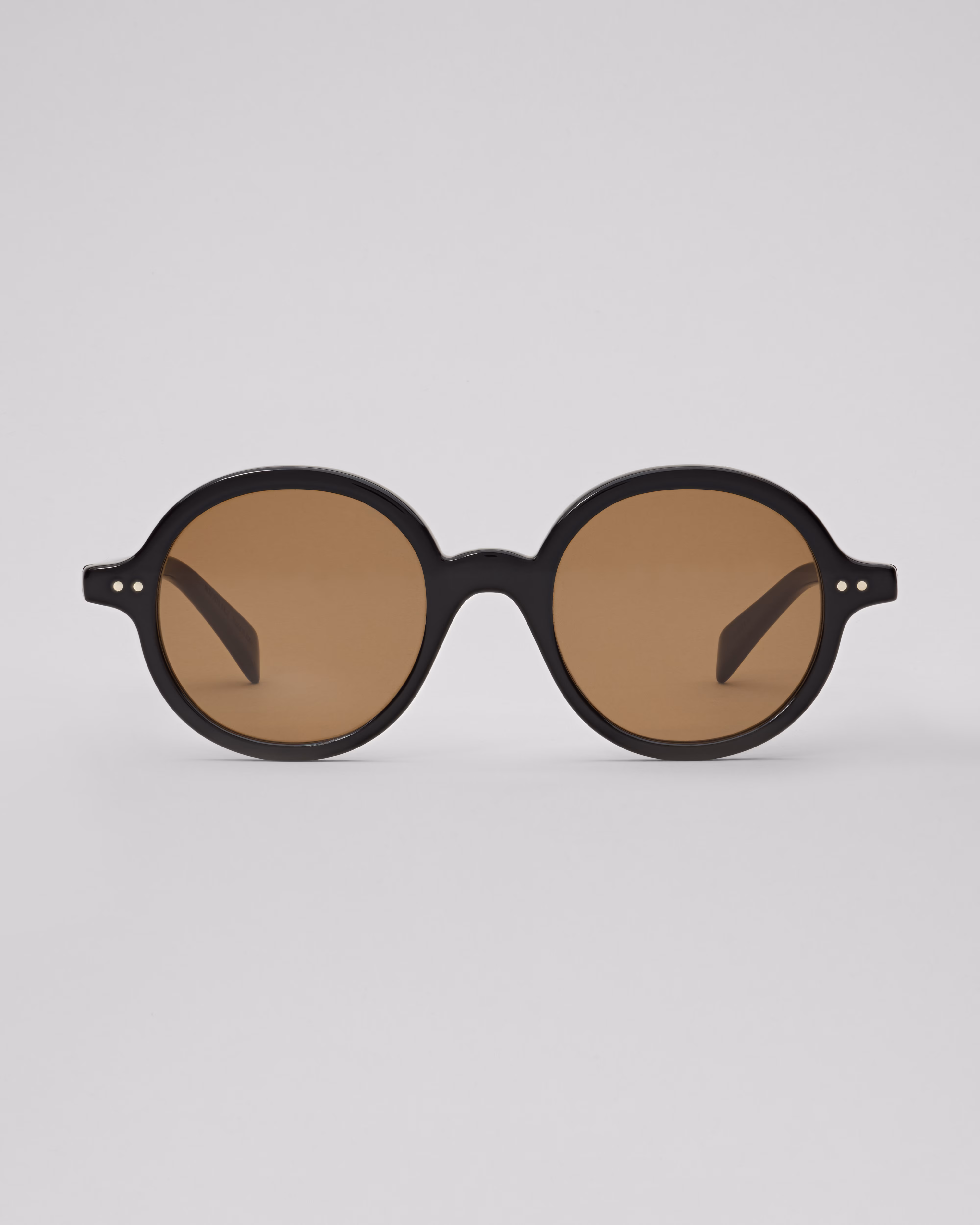 CELINE Leaf Sunglasses in Acetate