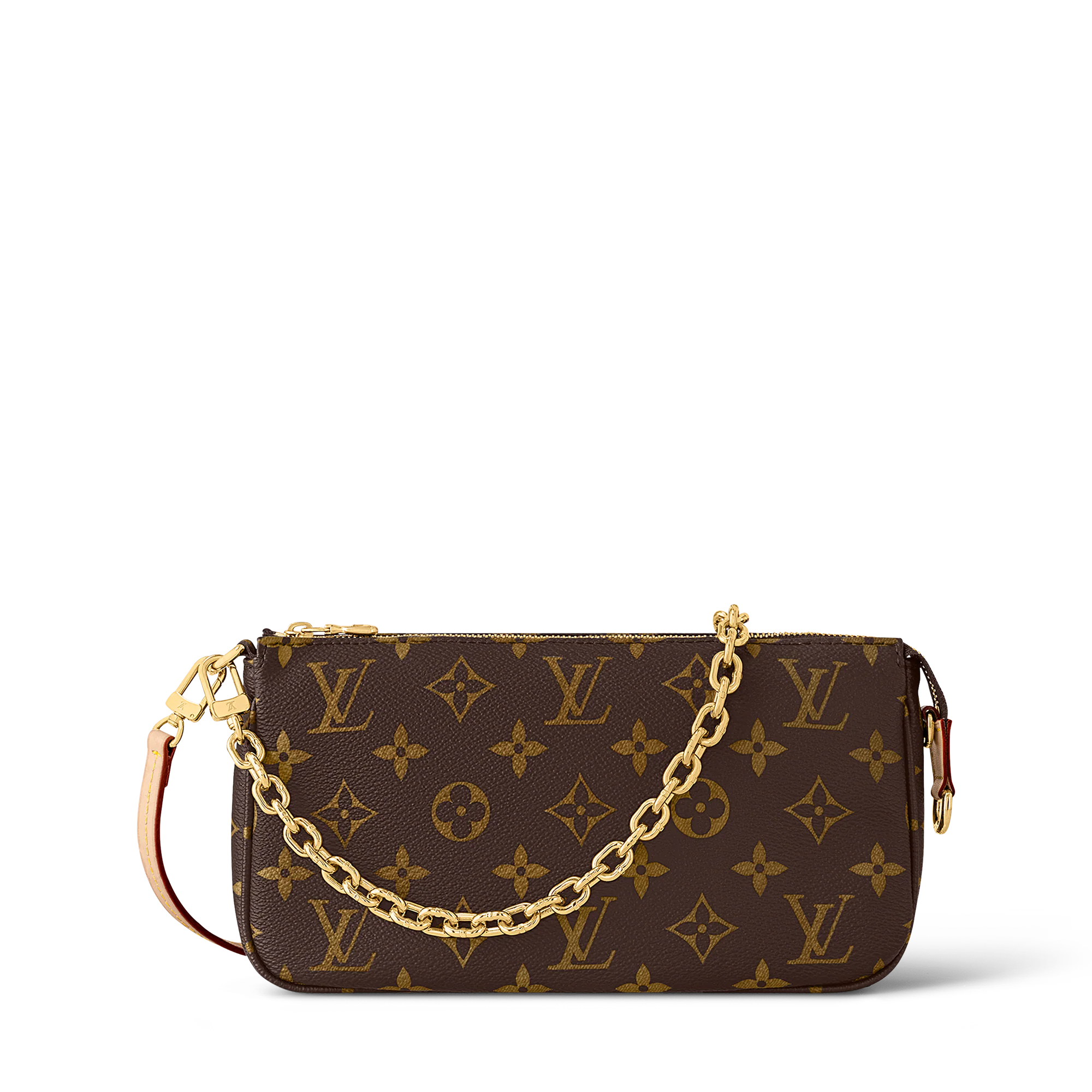 Louis Vuitton Pochette Accessoires Monogram